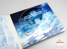 cd_cut_1.jpg